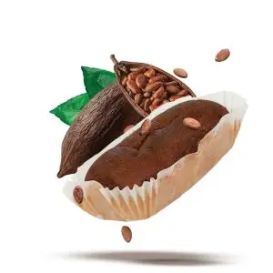 Cocoa Plum cake x4 pack(45g each) - Ciao Carb